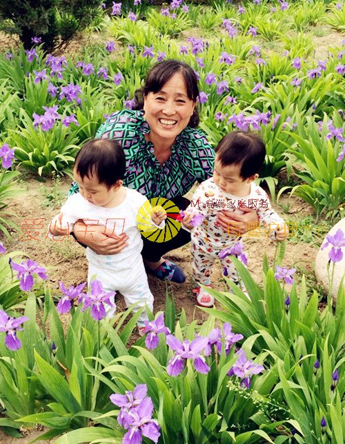 北京育儿嫂,北京保姆,北京家政,北京月嫂,北京育婴师