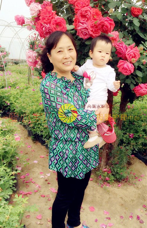 北京育儿嫂,北京保姆,北京家政,北京月嫂,北京育婴师