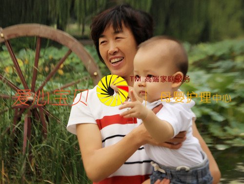 ���ֳɳ����Ҹ�����