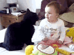 ������˾,��ķ