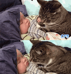 ������˾,��ķ