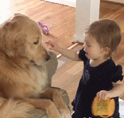 ������˾,��ķ