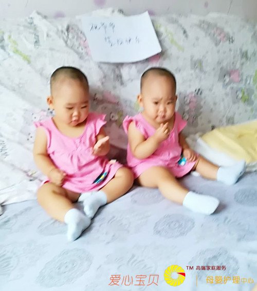 ������˾