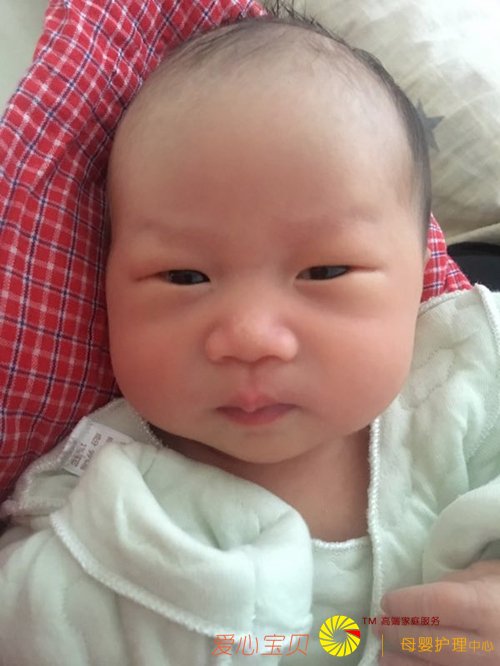 ±±¾©°®Ðı¦±´ÔÂÉ©¹«Ë¾½ðÅÆÔÂÉ©ÖìÁá½üÕÕ