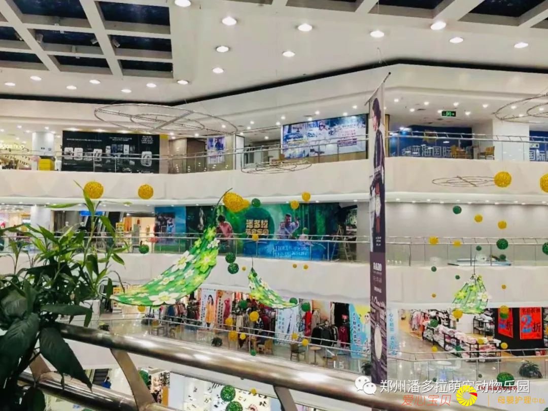 你听说了吗?郑州市中心要开动物乐园啦!还都是 萌宠!
