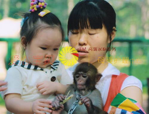 北京育儿嫂,北京保姆,北京家政,北京月嫂,北京育婴师