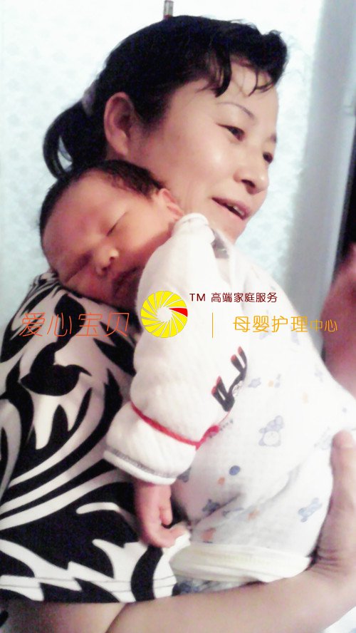 ���ı���������ķ�ڷ�֥�зḻ�Ĵ���������