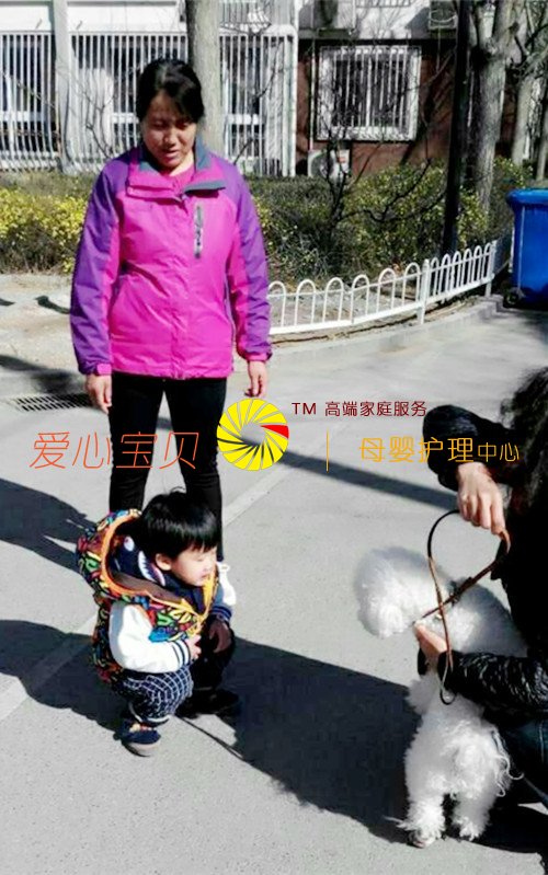 ��������Ĺ������Ӵ������ོ������˾�ķ�չ