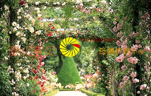 �����м�����ķְҵ��֪�ȵ���