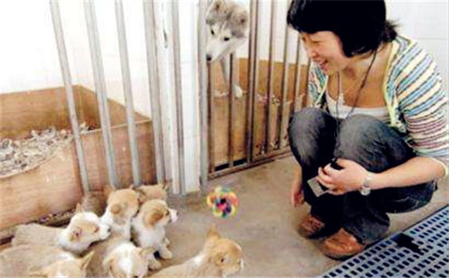 ������ķ