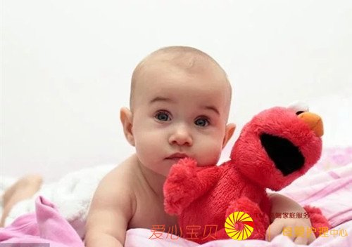 �������������ʲô��