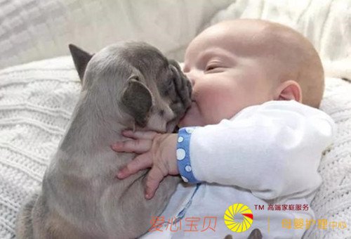 ��ɩ�г��������� ����ҵ�����ɩ��