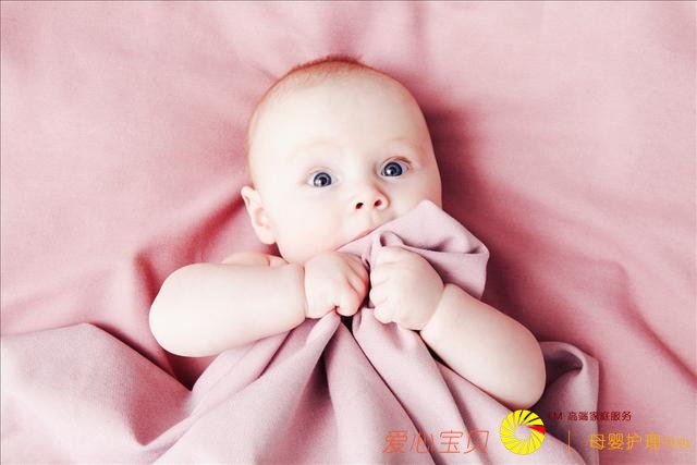 ��ɩ����ݹ������Ĳ�����