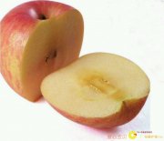 10~12个月宝宝辅食添加要点