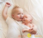 7��8����Ӥ���Ļ�������ָ��