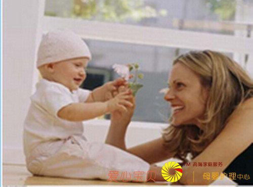 ��ѡ��ɩ�����׼Ҫ����