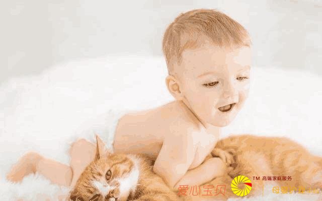 家庭保姆招聘基本要求