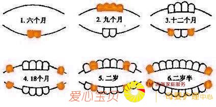 9个月长第一颗牙算晚吗?宝宝出牙时间、顺序,快看你家娃达标没