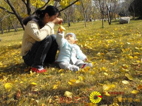 �����ż��ͣ�����ɩ��������ƫ�ͣ����ƴ�����