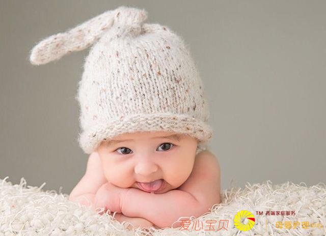 �������Ӹ�ʳʱ������ʳ�Ĳ��ܲ����ӣ���Ȼ�⼸��Ӫ������ȫ