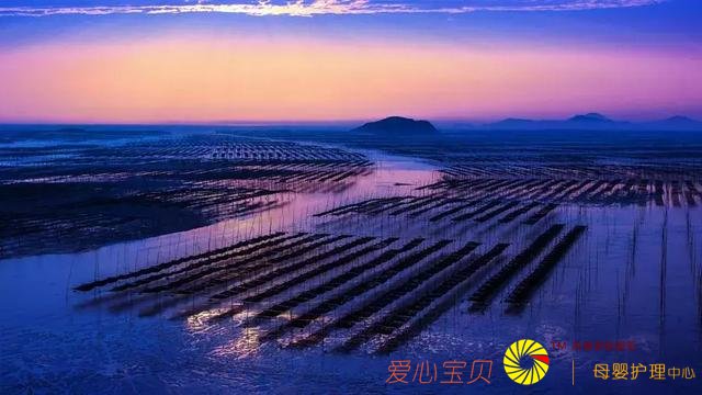 ���ʺ�һ�������е�ʮ�����������е�