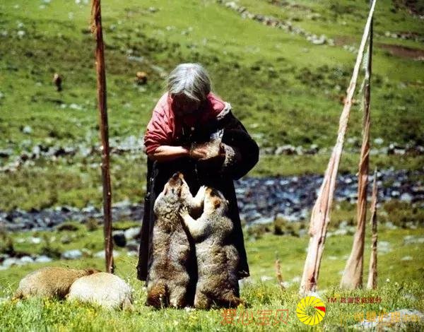 ���ʺ�һ�������е�ʮ�����������е�