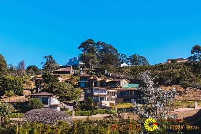 ���ʺ�һ�������е�ʮ�����������е�