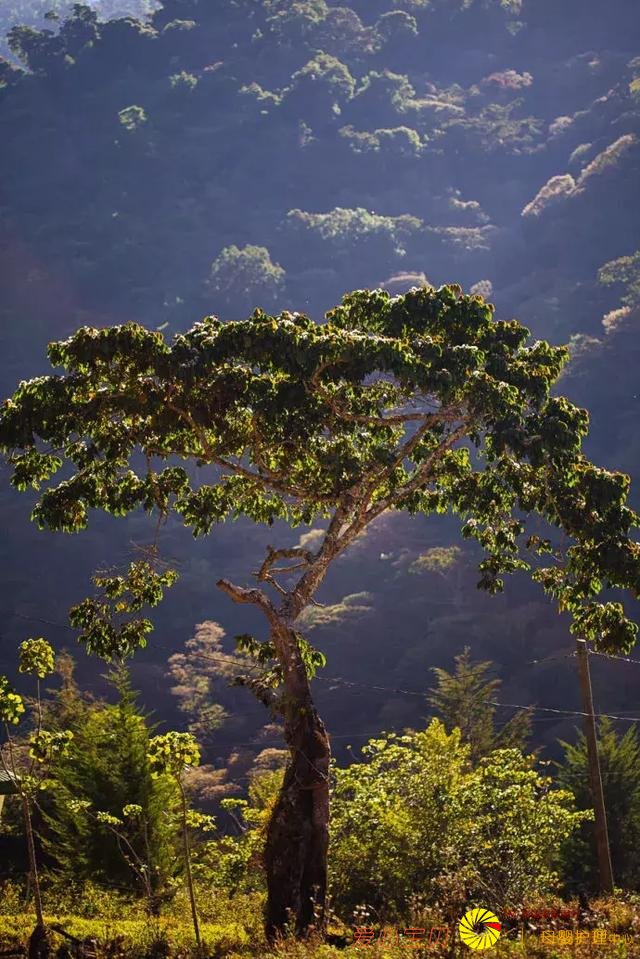 ���ʺ�һ�������е�ʮ�����������е�