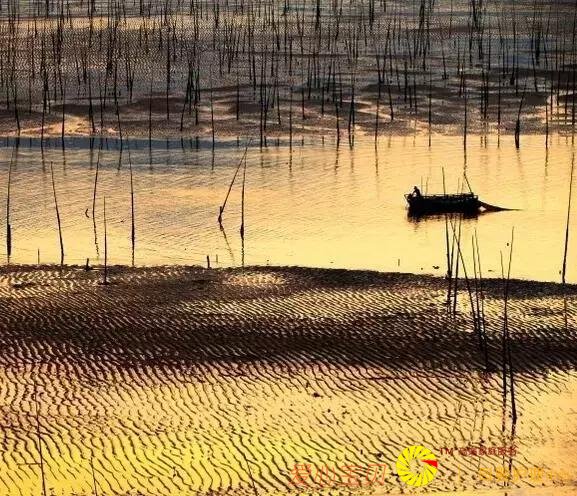 ���ʺ�һ�������е�ʮ�����������е�