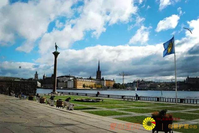 ���ʺ�һ�������е�ʮ�����������е�