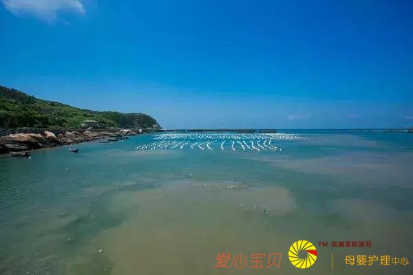 ���ʺ�һ�������е�ʮ�����������е�