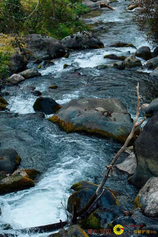 ���ʺ�һ�������е�ʮ�����������е�