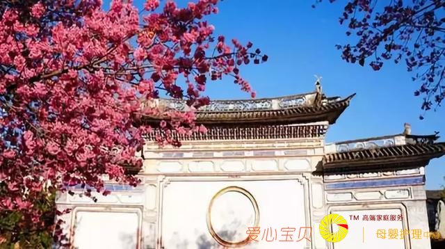 ���ʺ�һ�������е�ʮ�����������е�