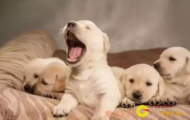 �����ﲻ��Ҫ���ģ���Ҫ�����ĺ����ġ����𿨰��衹