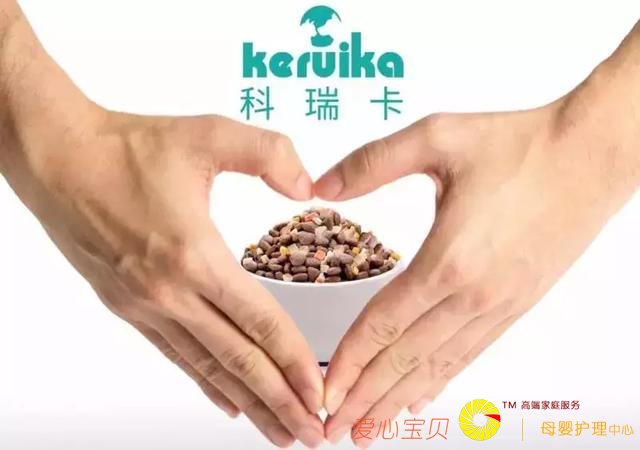 养宠物不仅要爱心,更要责任心和耐心「科瑞卡爱宠」