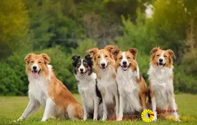 �����ﲻ��Ҫ���ģ���Ҫ�����ĺ����ġ����𿨰��衹