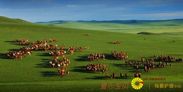 内蒙古旅游攻略,大草原旅游