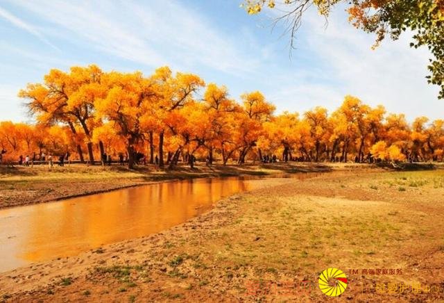 内蒙古旅游攻略,大草原旅游