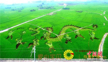 高铁上观看巨型稻田艺术景观 震撼! 高铁上观看巨型稻田艺术景观 震撼!