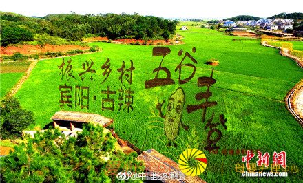 高铁上观看巨型稻田艺术景观 震撼! 高铁上观看巨型稻田艺术景观 震撼!