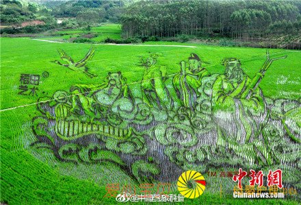 高铁上观看巨型稻田艺术景观 震撼! 高铁上观看巨型稻田艺术景观 震撼!