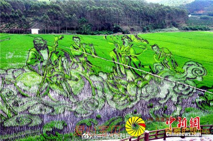 高铁上观看巨型稻田艺术景观 震撼! 高铁上观看巨型稻田艺术景观 震撼!