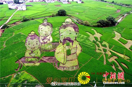 高铁上观看巨型稻田艺术景观 震撼! 高铁上观看巨型稻田艺术景观 震撼!
