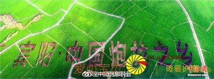 高铁上观看巨型稻田艺术景观 震撼! 高铁上观看巨型稻田艺术景观 震撼!