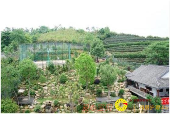 ���ݻ�������ǰʮ ����ڻ�������ӱ����