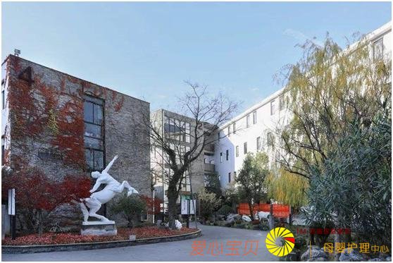 ���ݻ�������ǰʮ ����ڻ�������ӱ����