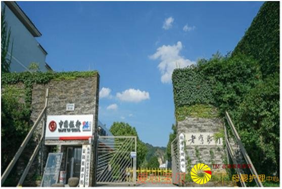 ���ݻ�������ǰʮ ����ڻ�������ӱ����