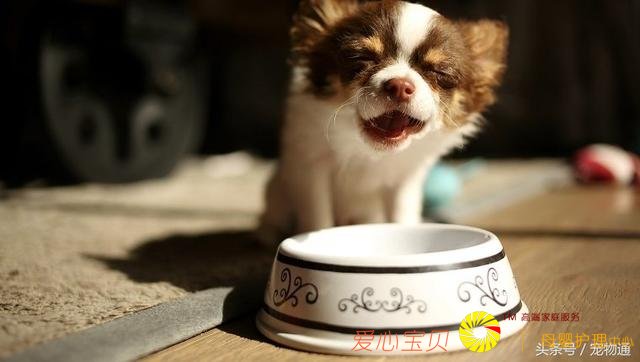 �����｡����5�ֳ���Ӱ�������ʳϰ�ߵ�����