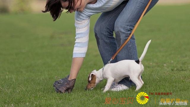 �����｡����5�ֳ���Ӱ�������ʳϰ�ߵ�����