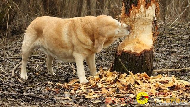 �����｡����5�ֳ���Ӱ�������ʳϰ�ߵ�����